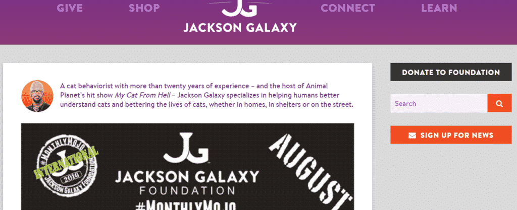 Jackson Galaxy Blog