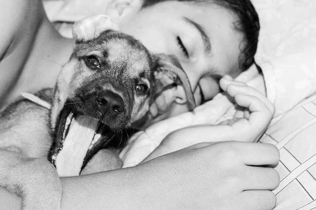 Dormir con tu perro es bueno para la oxitocina